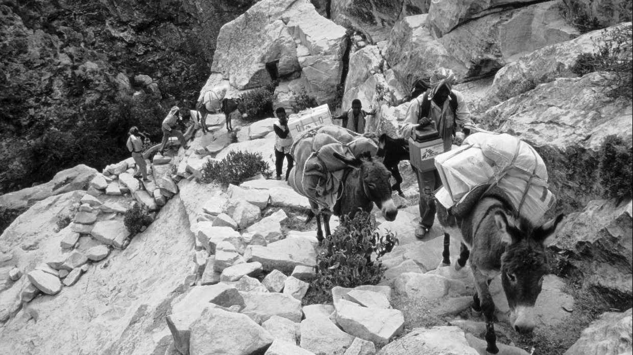 Många av de flyktingläger som uppstod under kriget mellan Etiopien och Eritrea låg i bergen. Då transporterade vi allt material med kamel eller åsna.