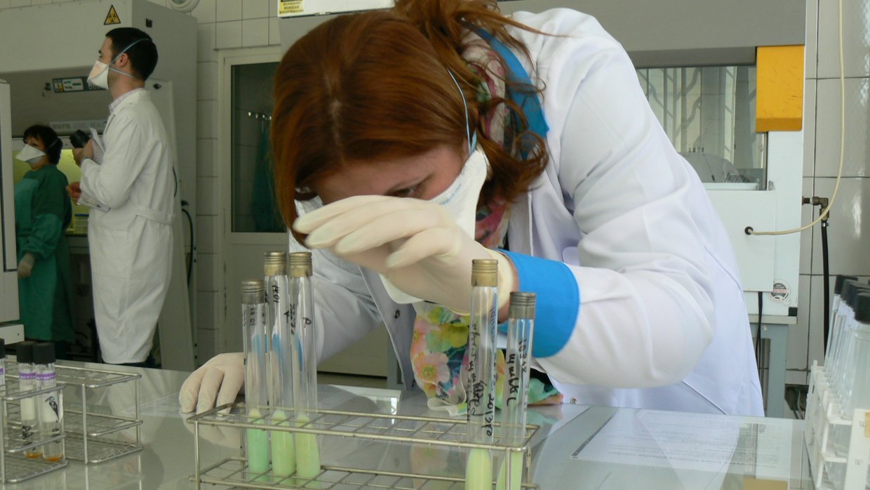 en kvinnlig labbtekniker kontrollerar provrör med sputumprov