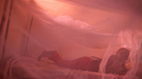 Som smittad av sömnsjuka kan man falla i djup medvetslöshet, därav namnet.