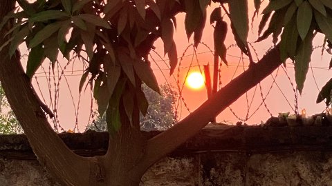 Solen genom taggtråden på Castorsjukhuset.