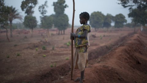 En person håller i en pinne vid sidan vägen