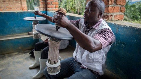 En man studerar myggor