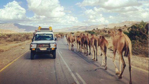 Ett team på väg att undersöka hjälpbehoven i Tigray, Etiopien. 