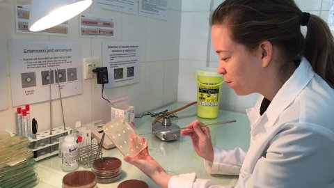 På Läkare Utan Gränsers sjukhus i Aden i Jemen finns ett laboratorium där bakterier analyseras för att avgöra vilken typ av antibiotika som är mest effektiv.