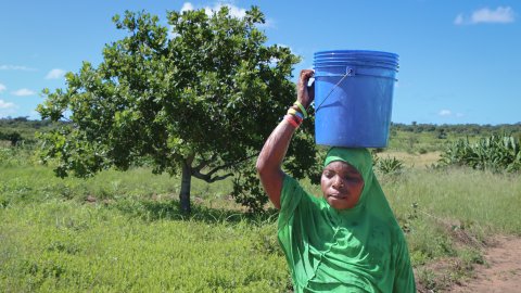 En kvinna bär vatten i en hink 