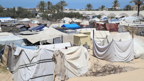 vita plasttält på en sandig slätt med palmer i bakgrunden