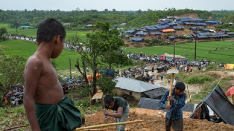 Över en halv miljon människor som tillhör folkgruppen rohingya har hittills flytt från delstaten Rakhine i Myanmar till Bangladesh. 