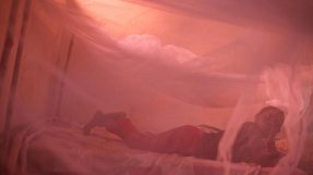 Som smittad av sömnsjuka kan man falla i djup medvetslöshet, därav namnet.