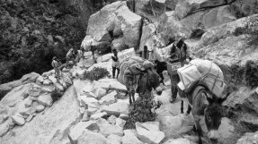 Många av de flyktingläger som uppstod under kriget mellan Etiopien och Eritrea låg i bergen. Då transporterade vi allt material med kamel eller åsna.