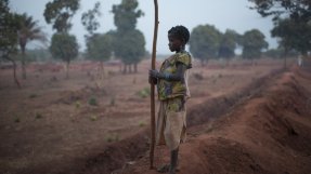 En person håller i en pinne vid sidan vägen