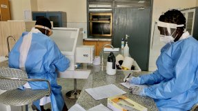 Läkare Utan Gränsers mikrobiolog Giir och biotekniker Rebecca analyserar covidtester vid det nationella sjukhuset i Juba, Sydsudan.