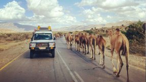 Ett team på väg att undersöka hjälpbehoven i Tigray, Etiopien. 