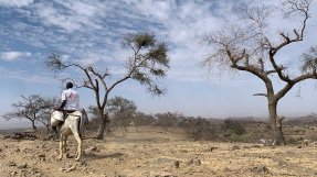 En anställd från Läkare Utan Gränser rider på en åsna Jebel Marra, Sudan. 