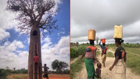 Två bilder från Madagaskar - ena visar hur Claudine använder trädet baobab som en regnvattenreservoar, andra bilden visar tre kvinnor som bär vattendunkar.