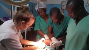 <p>Vi utesluter meningit hos patienten med stelkramp med en lumbal punktion. </p>
Vi utesluter meningit hos patienten med stelkramp med en lumbal punktion.