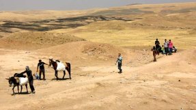 Människor på flykt från Syrien vandrar genom ingenmanslandet mellan den syriska gränsen och gränsen till irakiska Kurdistan.