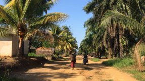 En gata i Mbandaka, Kongo-Kinshasa.  