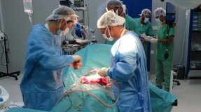 Kirurgteamet som anlände med båt till Aden den 8 april började operera skadade så fort de kom fram.