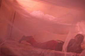 Som smittad av sömnsjuka kan man falla i djup medvetslöshet, därav namnet.