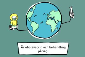 Illustration med texten: Är ebolavaccin och behandling på väg!