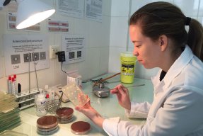 På Läkare Utan Gränsers sjukhus i Aden i Jemen finns ett laboratorium där bakterier analyseras för att avgöra vilken typ av antibiotika som är mest effektiv.