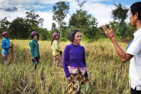 Fem personer står på ett fält och pratar med varandra.