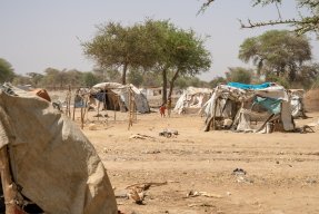 små tillfälliga hyddor av träpinnar och plastskynken i internflyktinglägret  Gomgoi i Sydsudan