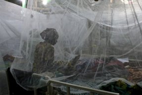 En kvinna sitter men ryggen mot kamerna på en sjukhussäng täckt av ett myggnät
