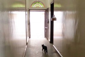 "Sådana här händelser kan bara kunskap och utbildning förhindra." 