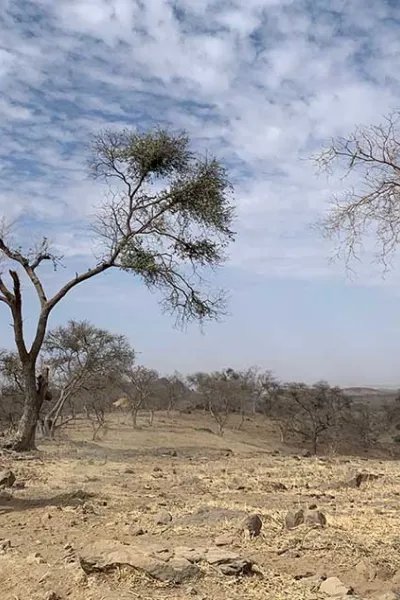 En anställd från Läkare Utan Gränser rider på en åsna Jebel Marra, Sudan. 