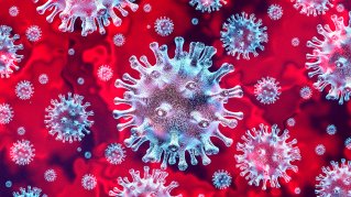 3D bild celler coronavirus