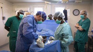 Ett kirurgiteam i arbete på Läkare Utan Gränsers sjukhus i Port-au-Prince, Haiti