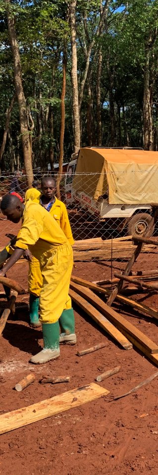 Uppbyggnaden av ett tillfälligt område för triagering och isolering i Nduta, Tanzania.
