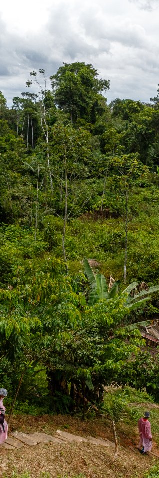 Personal påväg till båtar för transport i Amazonas regnskog