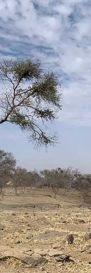 En anställd från Läkare Utan Gränser rider på en åsna Jebel Marra, Sudan. 