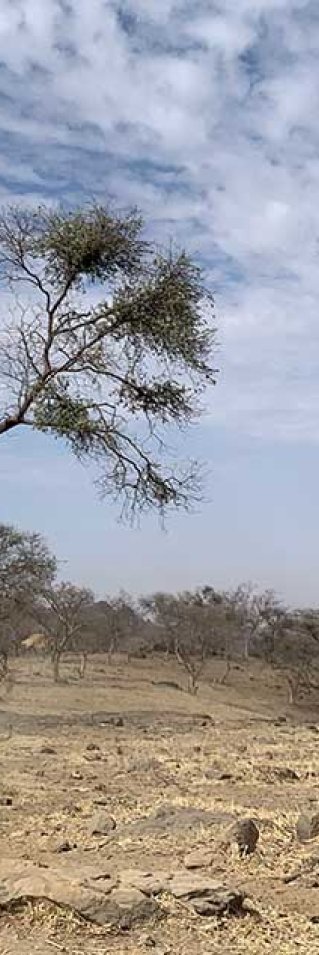 En anställd från Läkare Utan Gränser rider på en åsna Jebel Marra, Sudan. 