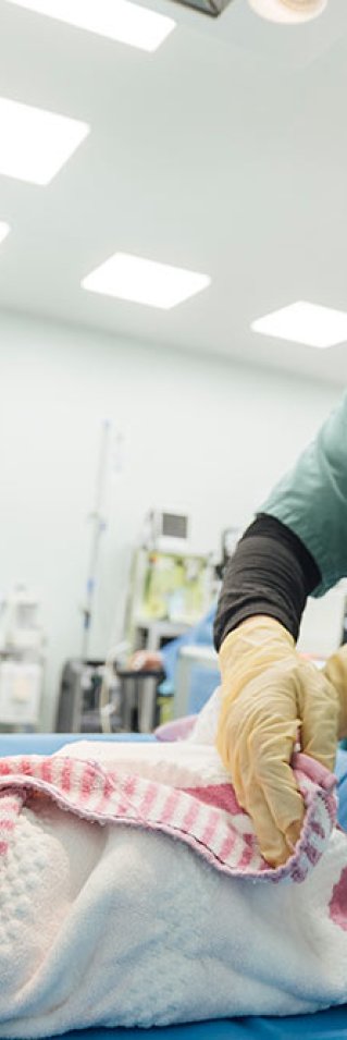 En nyfödd bebis på Nablus sjukhus i västa Mosul, Irak, sveps in i en filt av en sjukvårdspersonal.