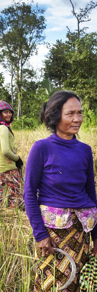 Fem personer står på ett fält och pratar med varandra.