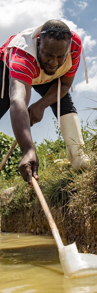 En man skyfflar upp vatten ur en damm.