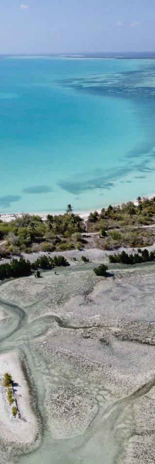 Flygbild av en strand och havet med ett hus nära vattnet.