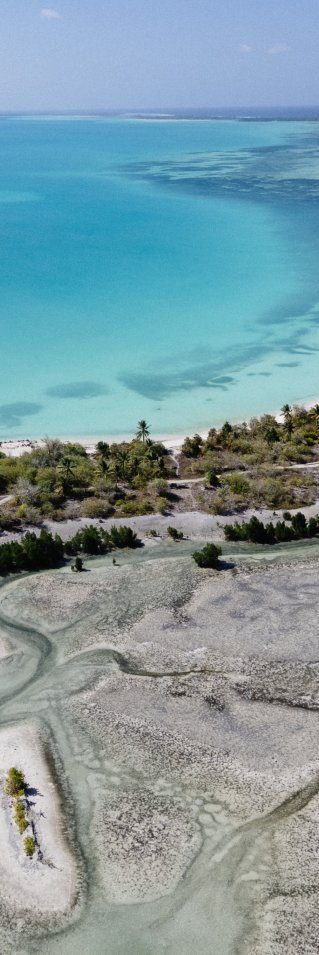 Flygbild av en strand och havet med ett hus nära vattnet.
