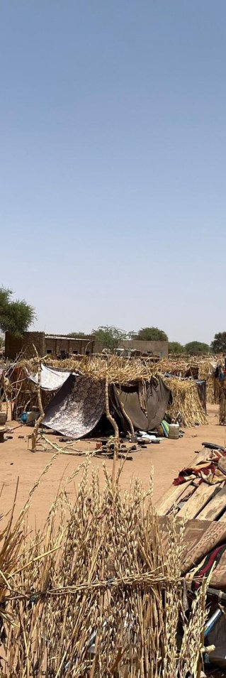 Provisoriska skydd gjorda av gräs, pinnar och tyg i ett läger i Sudan, med människor som rör sig mellan husen under en klar himmel.