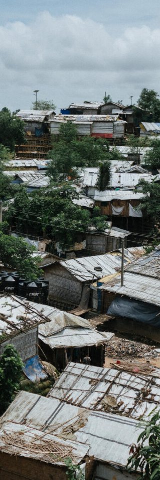 Bild ovanifrån på träd och hustak.