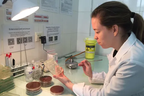 På Läkare Utan Gränsers sjukhus i Aden i Jemen finns ett laboratorium där bakterier analyseras för att avgöra vilken typ av antibiotika som är mest effektiv.