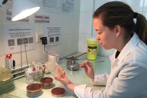 På Läkare Utan Gränsers sjukhus i Aden i Jemen finns ett laboratorium där bakterier analyseras för att avgöra vilken typ av antibiotika som är mest effektiv.