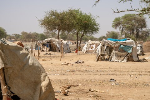 små tillfälliga hyddor av träpinnar och plastskynken i internflyktinglägret  Gomgoi i Sydsudan