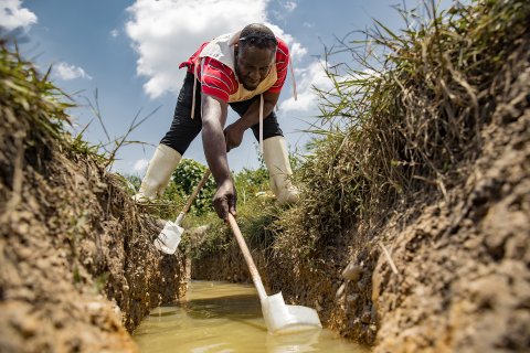 En man skyfflar upp vatten ur en damm.