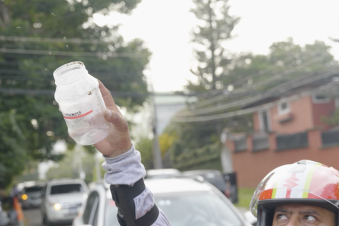 En man släpper ut myggor från en burk