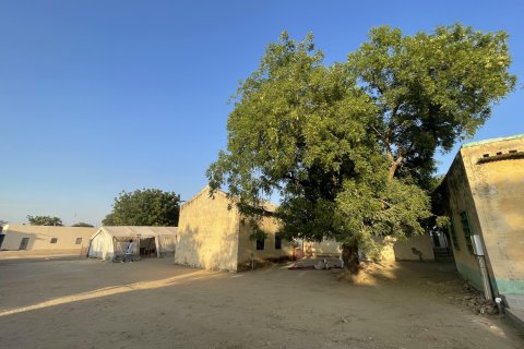 En vy över flera olika stenbyggnader och med ett stort grönt träd i mitten