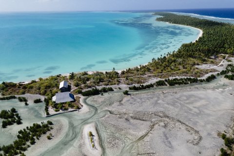 Flygbild av en strand och havet med ett hus nära vattnet.